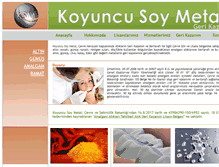 Tablet Screenshot of koyuncusoymetal.com